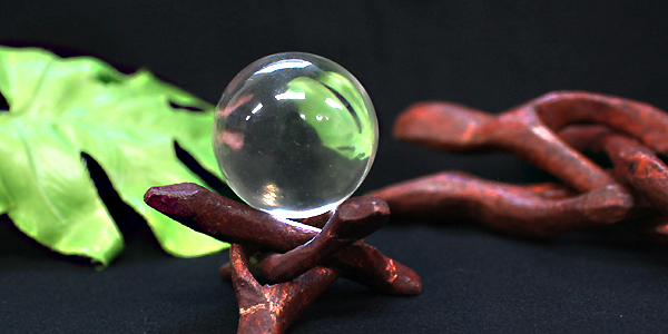 ヒマラヤ水晶31mm球を木と葉と一緒に撮影