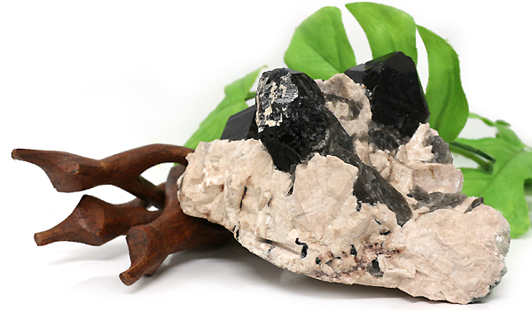 原石　黒水晶02を木と葉と一緒に撮影