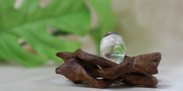 マナスル産 ヒマラヤ水晶　シバリンガム（厄除け　懐妊お守り）を木の上に乗せて撮影した画像