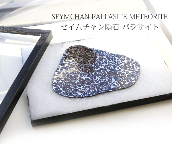 隕石 ペンダント パラサイト隕石 セイムチャン 約27x20x4mm