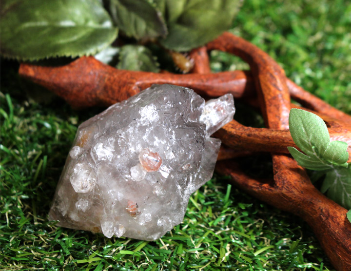 原石 エレスチャルセプター01（天然石 パワーストーン 松茸水晶 インスピレーション 鉱物標本 鉱物）を木の前で撮影