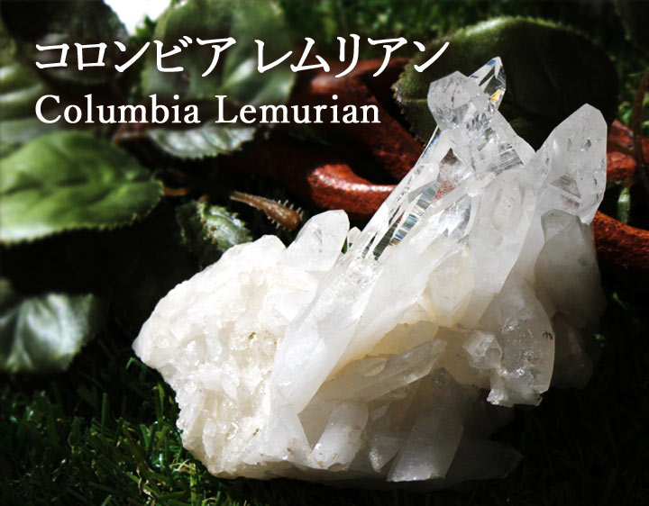 コロンビアレムリアン クラスター 04（浄化 ヒーリング 癒し インスピレーション レムリア 原石 水晶クラスター)を木の上に置いて撮影