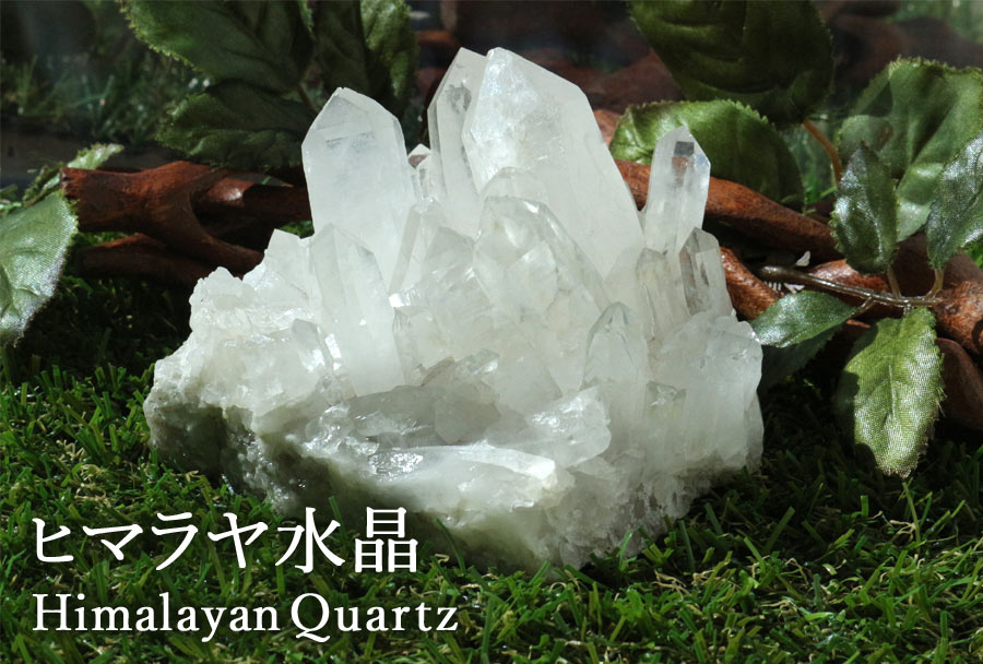 ヒマラヤ水晶クラスター（天然石 ヒマラヤ産 パワーストーン スピリチュアル 原石 鉱物標本 癒し）を草木と共に撮影